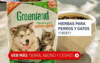 Easy Hierbas Para Perros Y Gatos 1182511 oferta