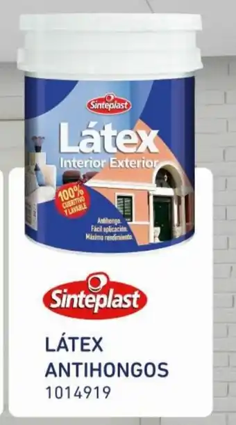 Easy Látex Antihongos 1014919 oferta