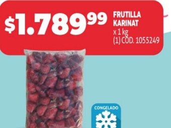 Makro Frutilla Karinat oferta