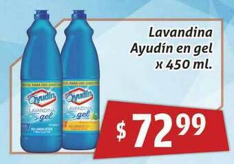 Gomez Pardo Lavandina Ayudín En Gel x450ml oferta