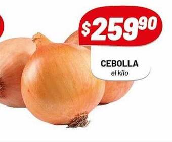 Almacor Cebolla oferta