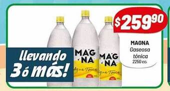 Almacor Magna gaseosa tónica oferta