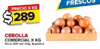 Carrefour Maxi Cebolla comercial kg oferta