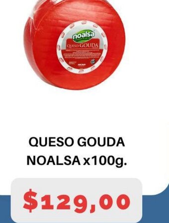 Queso Gouda Noalsa x100g