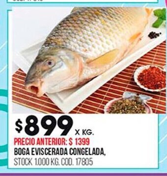 Coto Boga Eviscerada Congelada oferta