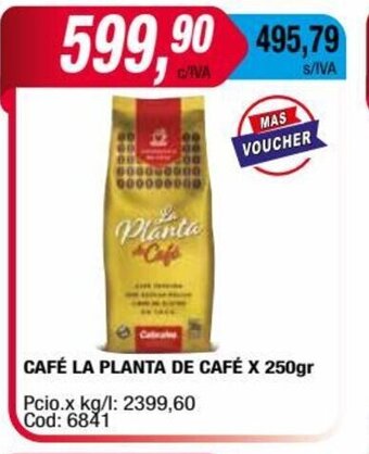 Maxiconsumo Café La Planta De Café x 250gr oferta