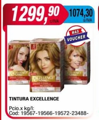 Maxiconsumo Tintura Excellence oferta