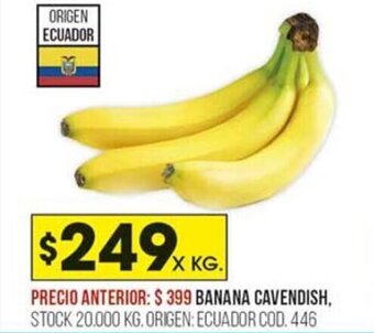 Coto Banana Cavendish oferta