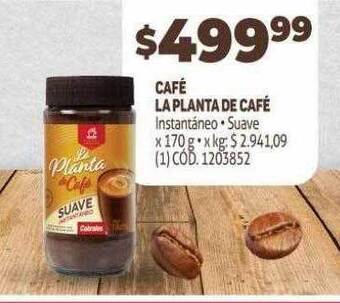 Makro Café la planta de café oferta
