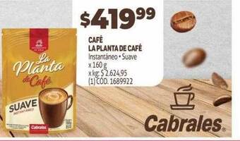 Makro Café la planta de café oferta