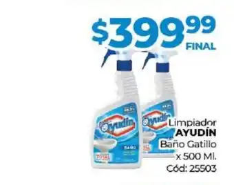 Diarco Limpiador Ayudín oferta