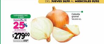 La Anonima Cebolla granel oferta