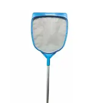 Pintecord Cerroclor sacahojas paleta c/mango eco oferta