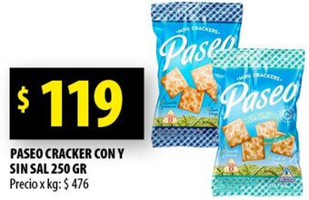 Paseo Cracker con y Sin Sal 250g