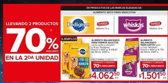 Carrefour Maxi Alimento balanceado para perros oferta
