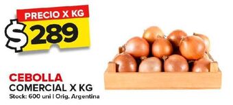 Carrefour Maxi Cebolla comercial kg oferta