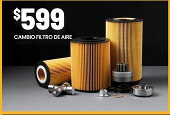 Changomas Cambio filtro de aire oferta