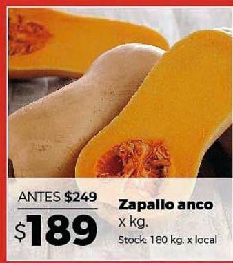 Disco Zapallo anco kg oferta