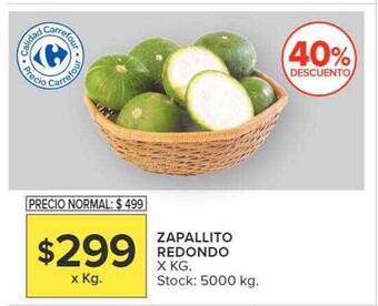 Carrefour Zapallito redondo oferta