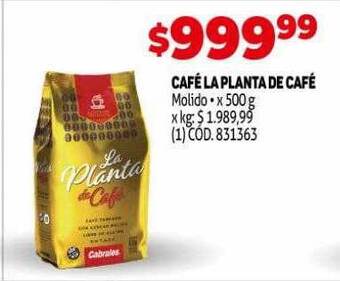 Makro Café la planta de café oferta