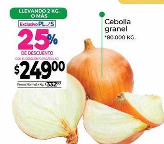 La Anonima Cebolla granel oferta