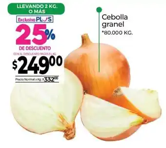La Anonima Cebolla granel *80.000kg oferta