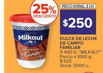 Carrefour Dulce de leche de campo familiar oferta