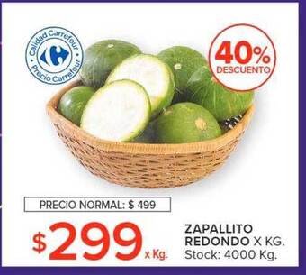 Carrefour Zapallito redondo oferta