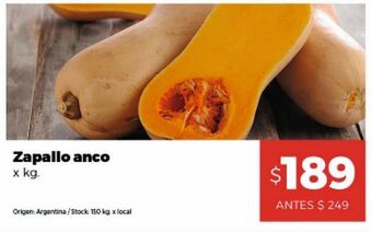 Disco Zapallo anco kg oferta
