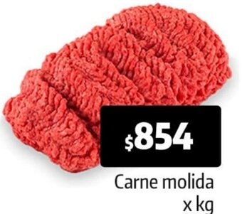 Carne Molida