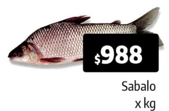Autoservicio Capo Sabalo oferta