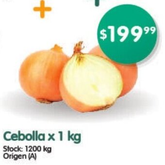 Supermercados Buenos Días Cebolla x 1kg oferta