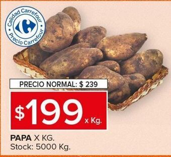 Carrefour Maxi Papa kg oferta