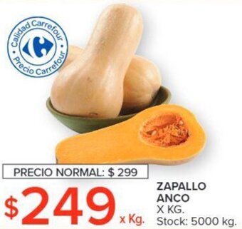 Carrefour Zapallo Anco oferta