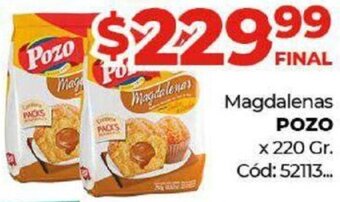 Diarco Magdalenas Pozo 220g oferta