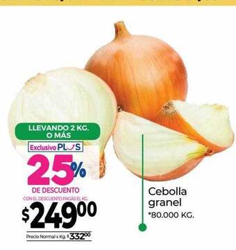 La Anonima Cebolla granel oferta