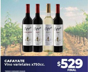 Supermayorista Vital Cafayate vino varietales oferta