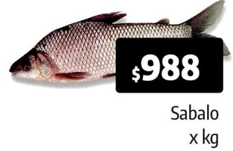 Autoservicio Capo Sabalo oferta