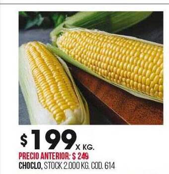 Coto Choclo oferta