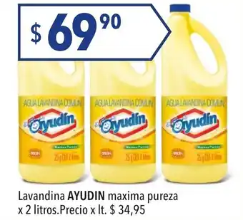 Hergo Ayudin Lavandina maxima pureza x 2 litros oferta