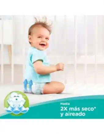 Farmacias Líder Pampers confort sec pañales desechables p 56 unidades oferta