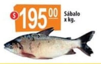 Autoservicio Capo Sábalo x kg oferta