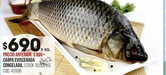 Coto Carpa eviscerada congelada oferta
