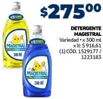 Makro Detergente Magistral 300ml oferta
