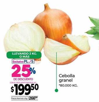 La Anonima Cebolla granel oferta