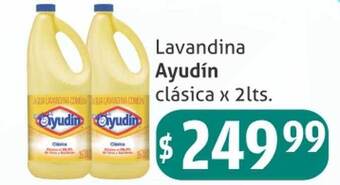Gomez Pardo Lavandina ayudín clásica oferta