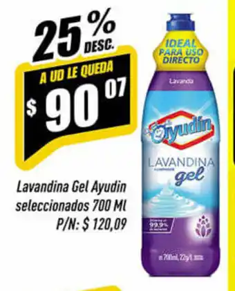 Supermercados Comodin Ayudin Lavandina Gel seleccionados 700ml oferta
