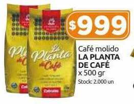 Cordiez Café molido la planta de café oferta