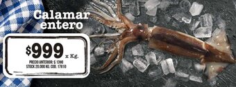 Coto Calamar Entero x kg oferta