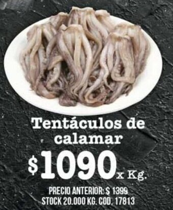 Coto Tentáculos de Calamar x kg oferta